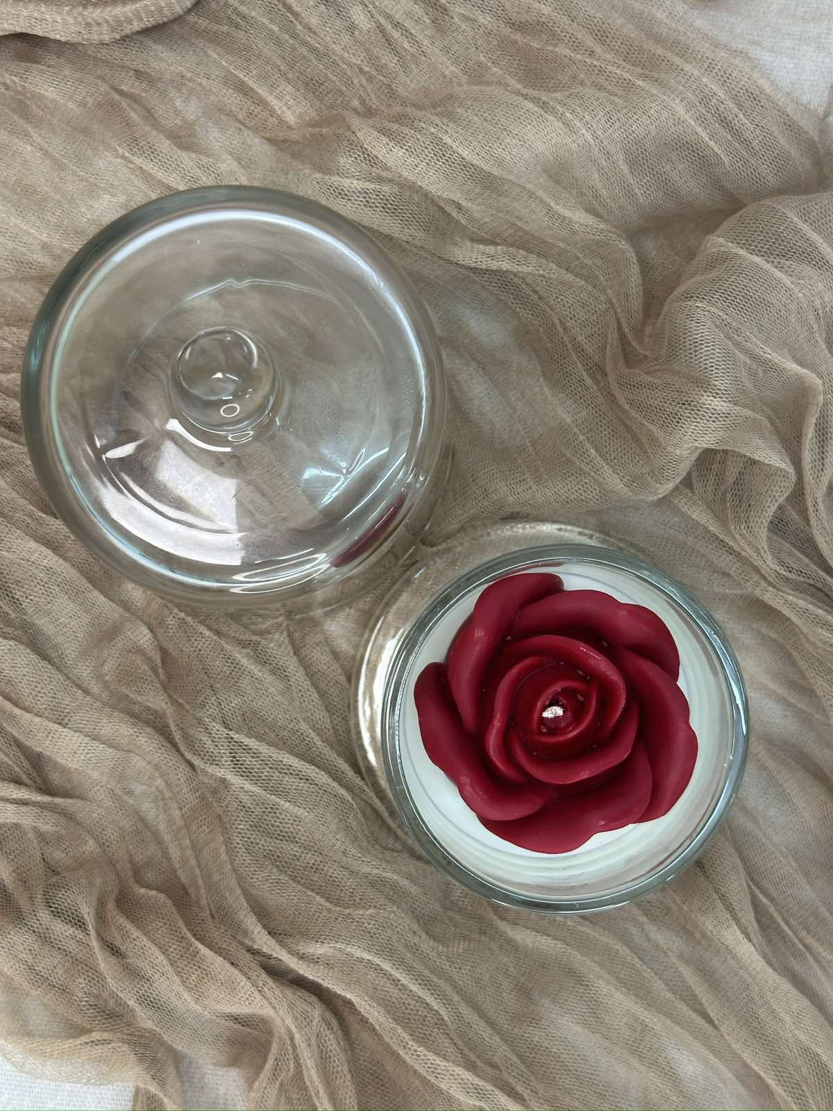 Beast’s Rose