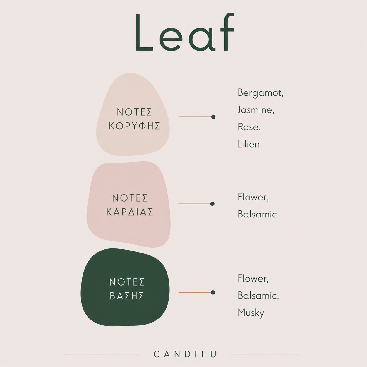 Leaf