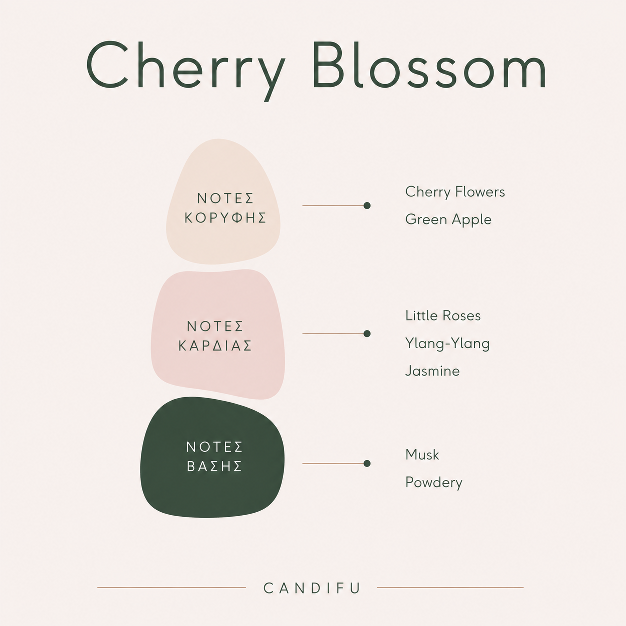 Cherry Blossom